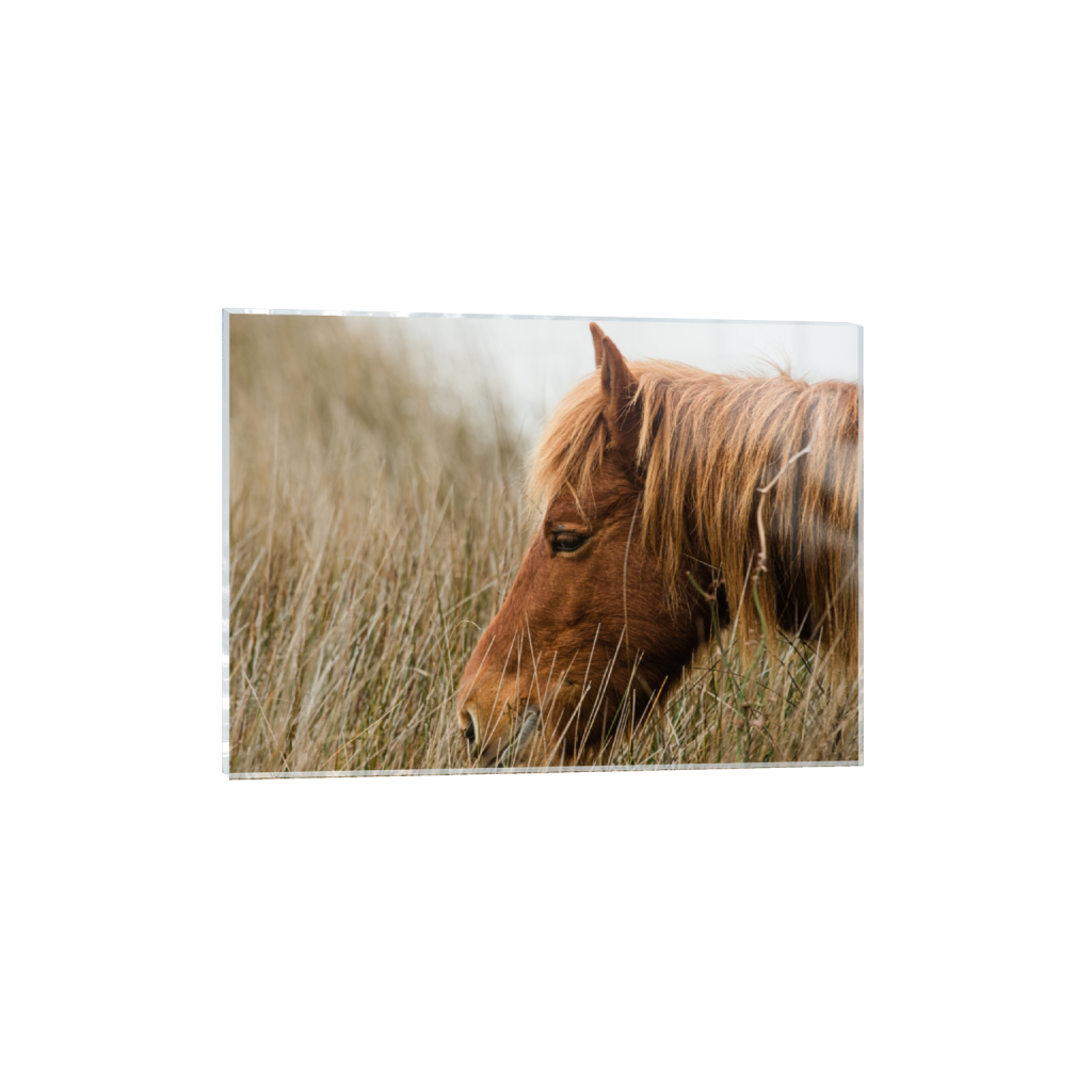 acrylicprint_rectangle5_7_336_0_4592_3280_0_false_ffffff_0_0.png