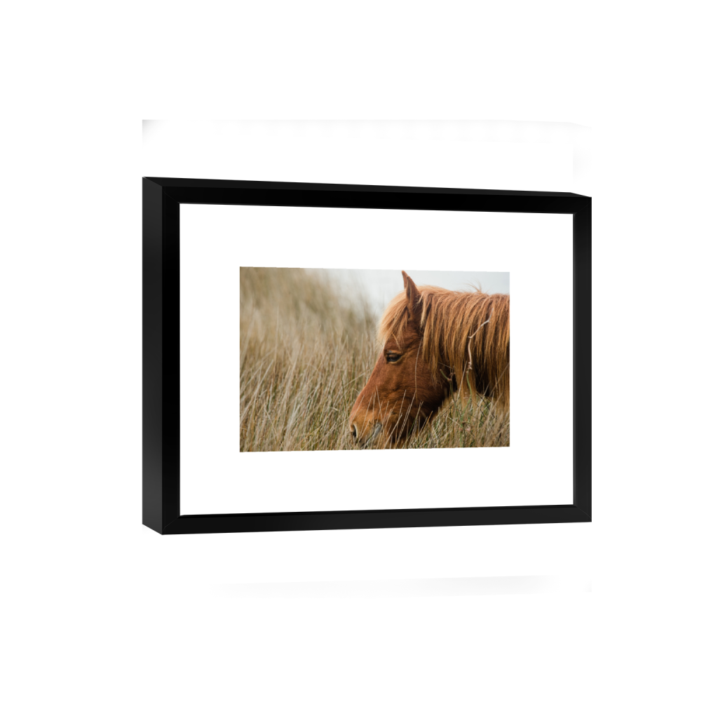 smartframe_rectangle2_3_0_0_4920_3280_0_false_ffffff_0_0.png