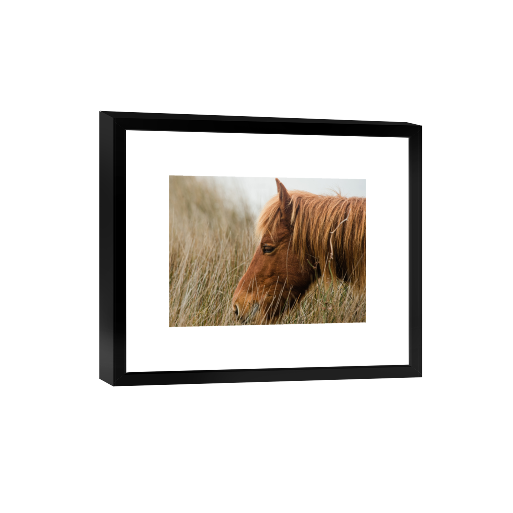 smartframe_rectangle3_4_565_0_4373_3280_0_false_ffffff_0_0.png
