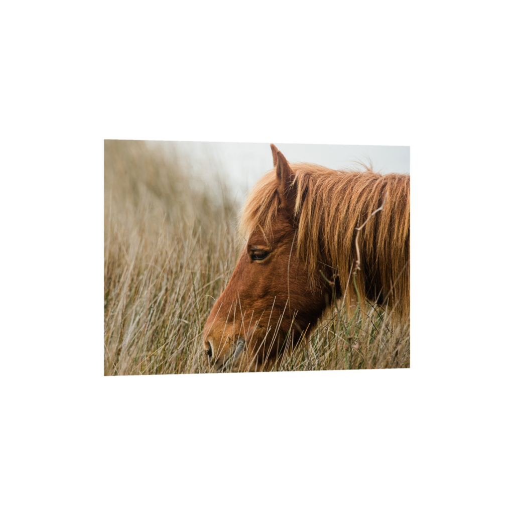 fineartprints_rectangle3_4_565_0_4373_3280_0_false_ffffff_0_0.png