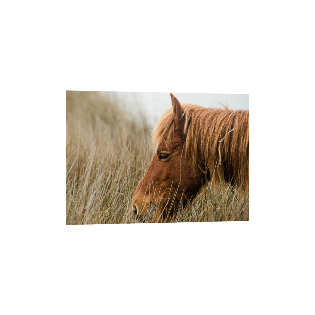 fineartprints_rectangle5_7_336_0_4592_3280_0_false_ffffff_0_0.png