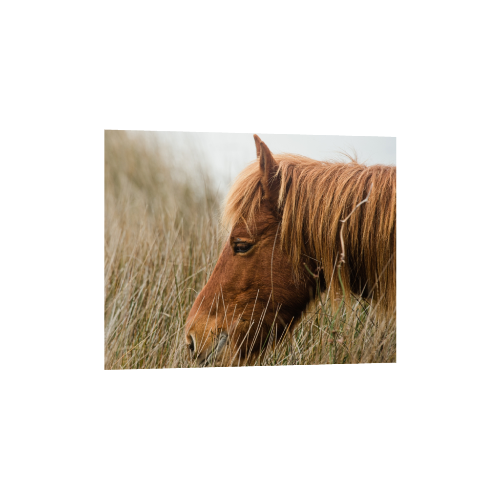 fineartprints_rectangle4_5_828_0_4100_3280_0_false_ffffff_0_0.png