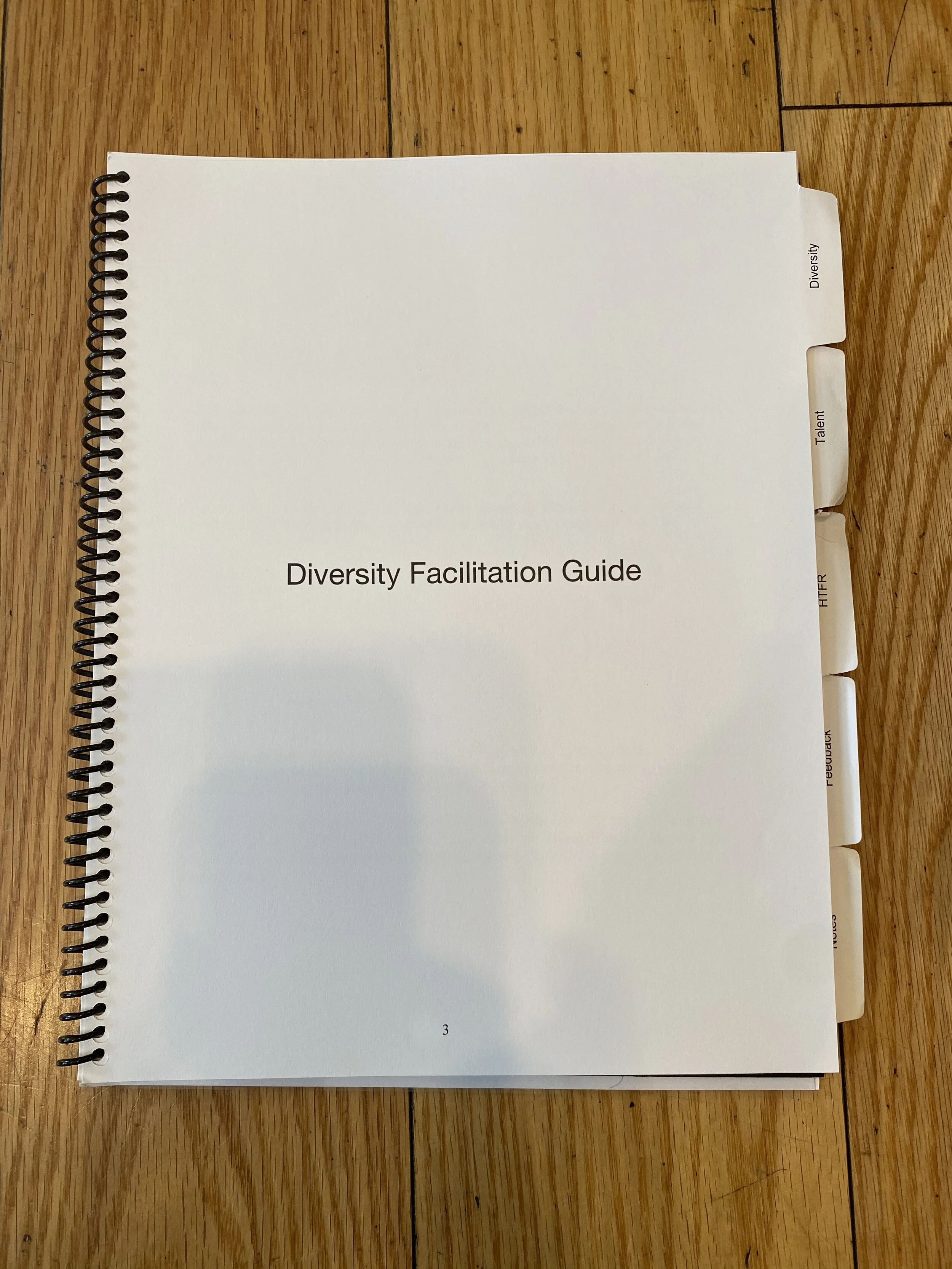 Diversity Facilitation Guide (Copy)