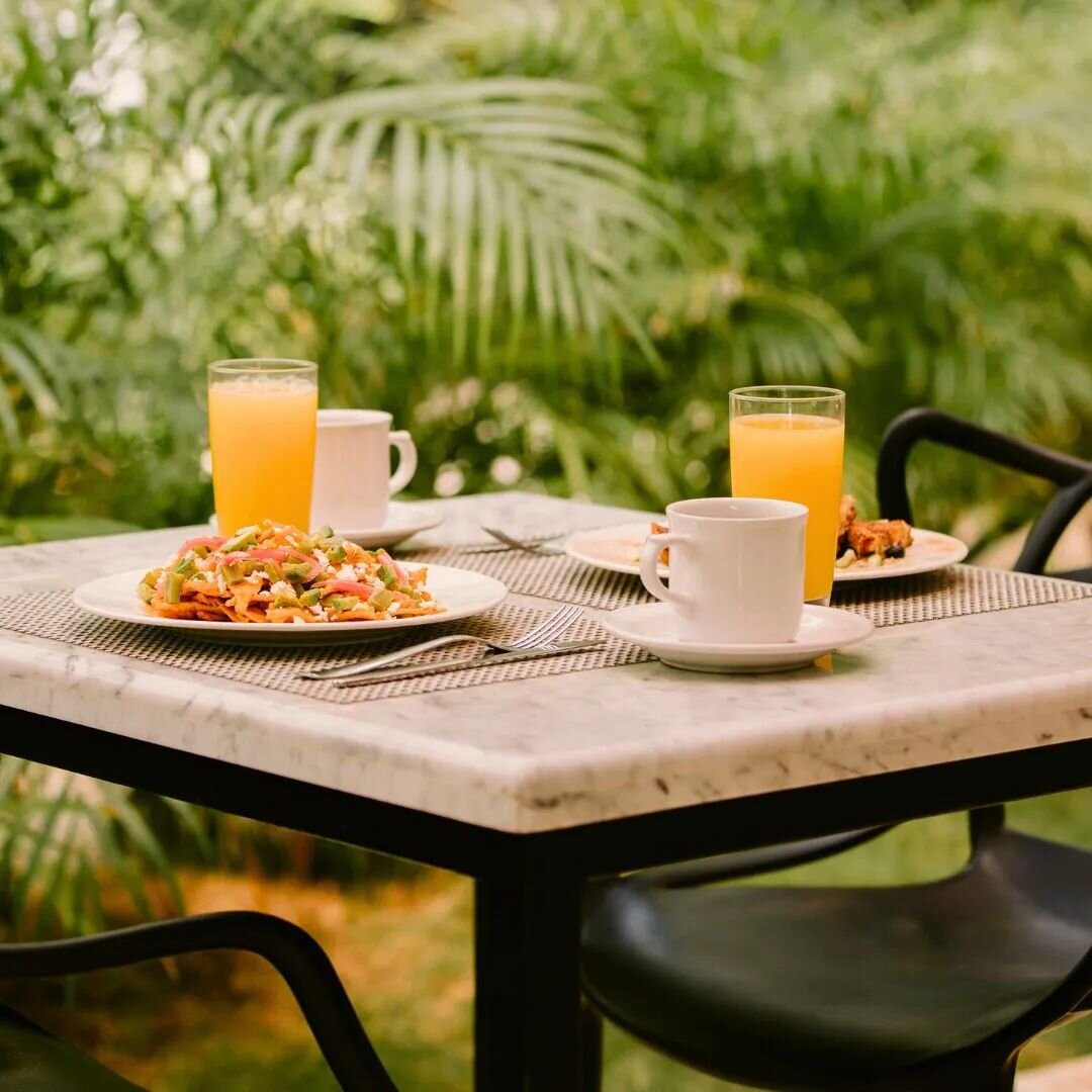 Have you ever imagined having breakfast within a natural ecosystem? 🌿🍳 At our hotel, we offer you the opportunity to enjoy a unique experience, where you can indulge in a delicious breakfast surrounded by the beauty of nature. 🌅🌴 Savor a feast of