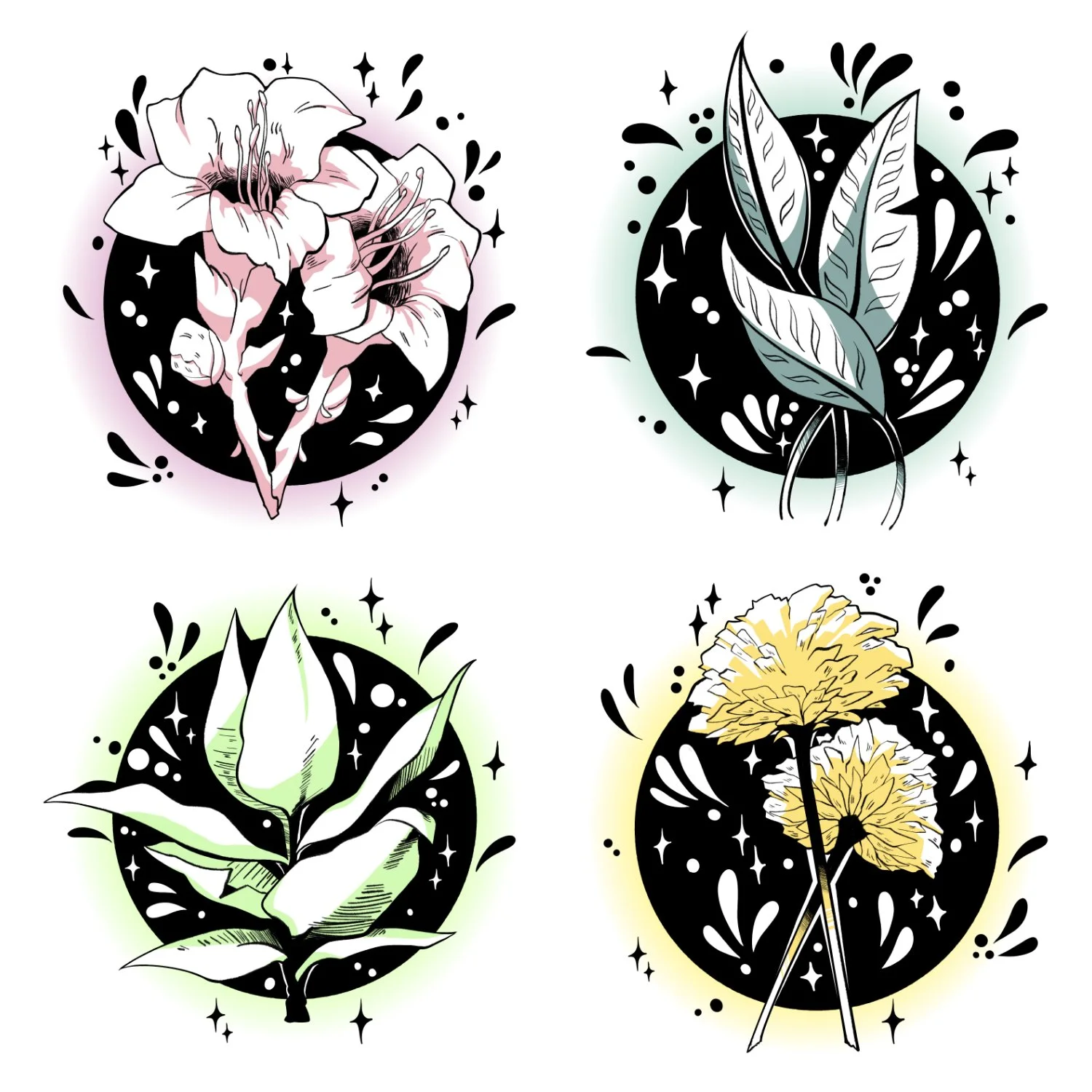 Flower set rbg no borders .jpeg