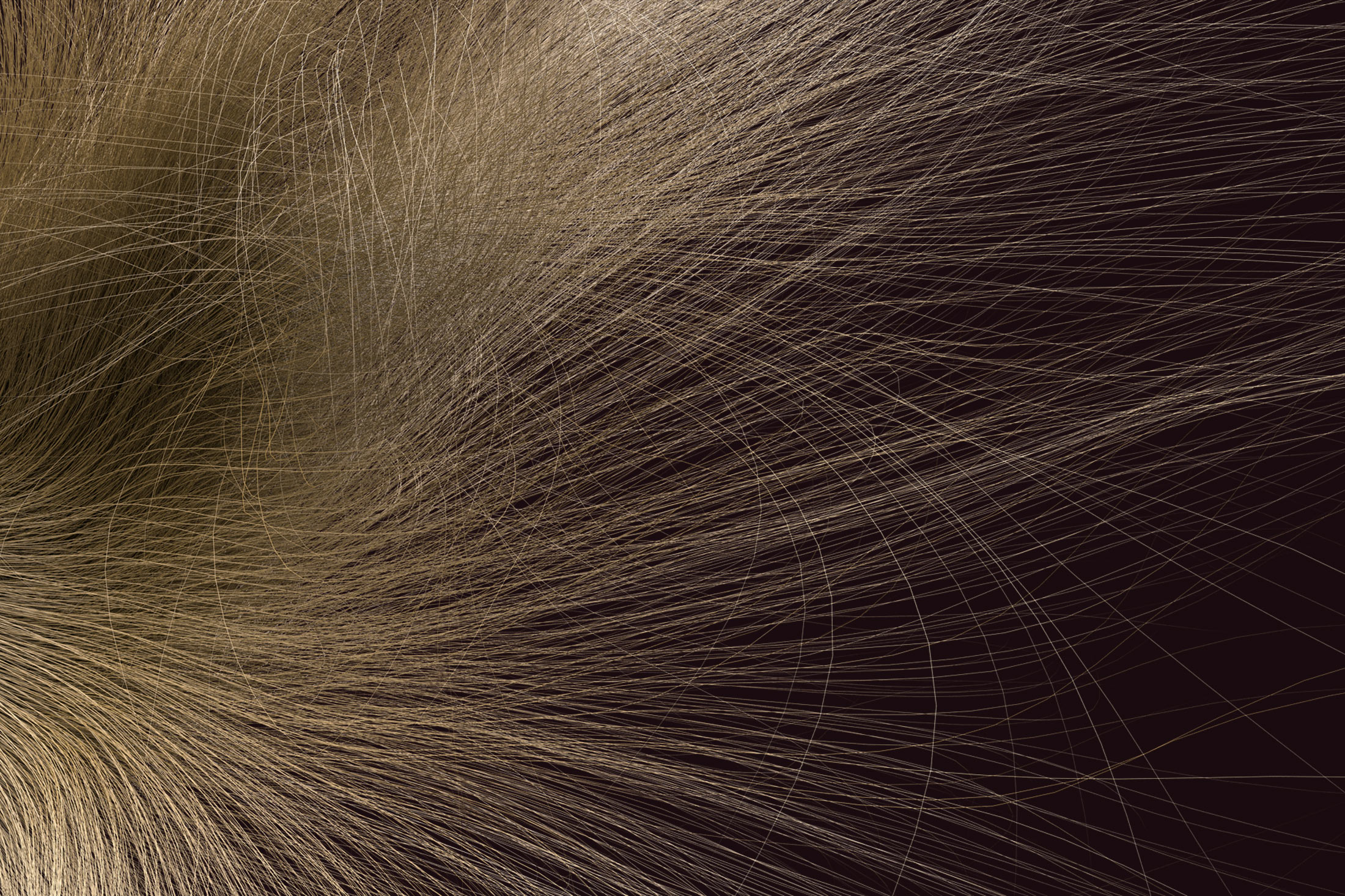 Banner4-new.jpg