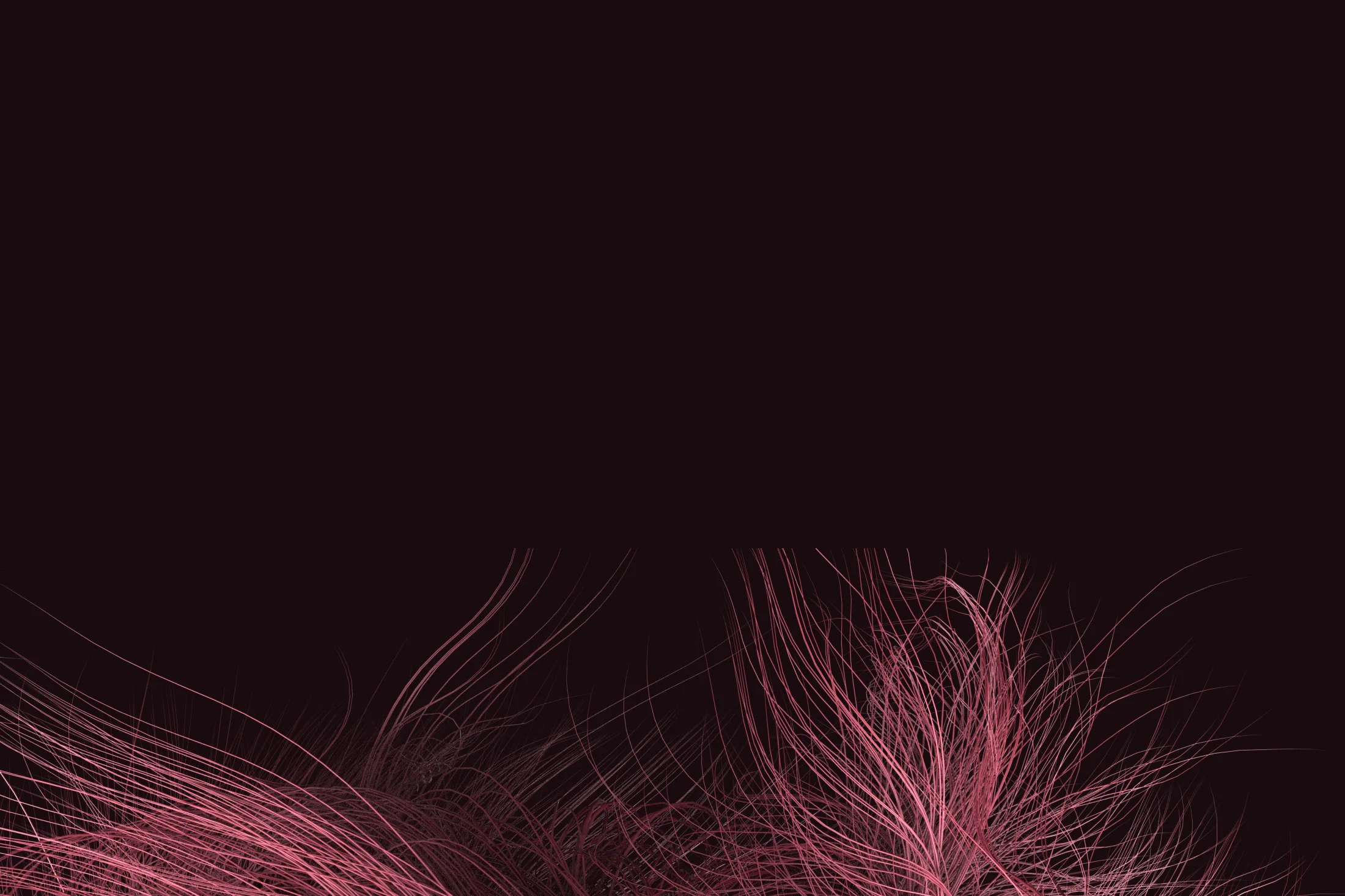 Banner4CU-new.jpg