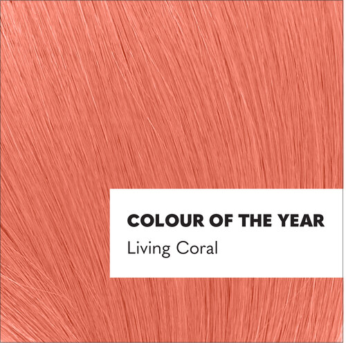 Living coral, pantone’s colour of the year for 2019