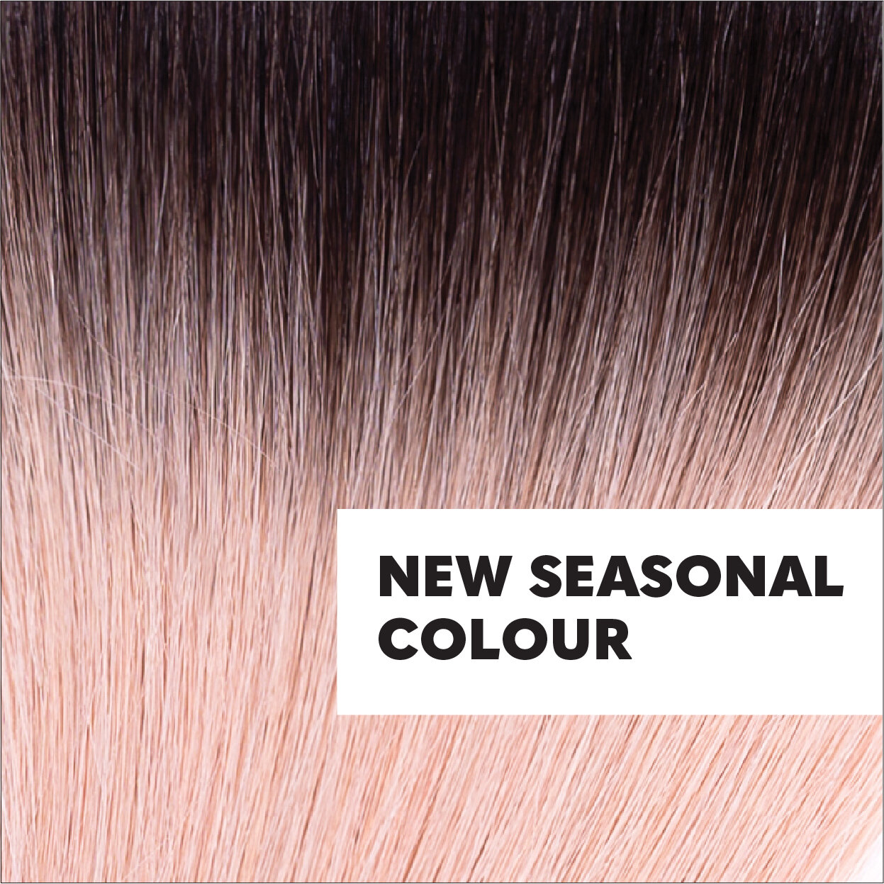 Great lengths’ second new seasonal colour, dusty pink