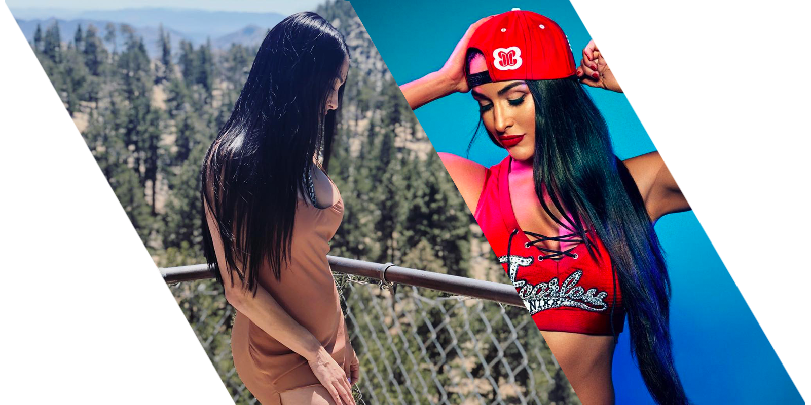 celebrities with hair extensions: Nikki Bella