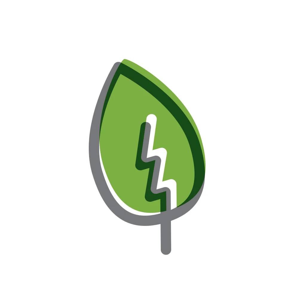 ace-leaf-01.jpg