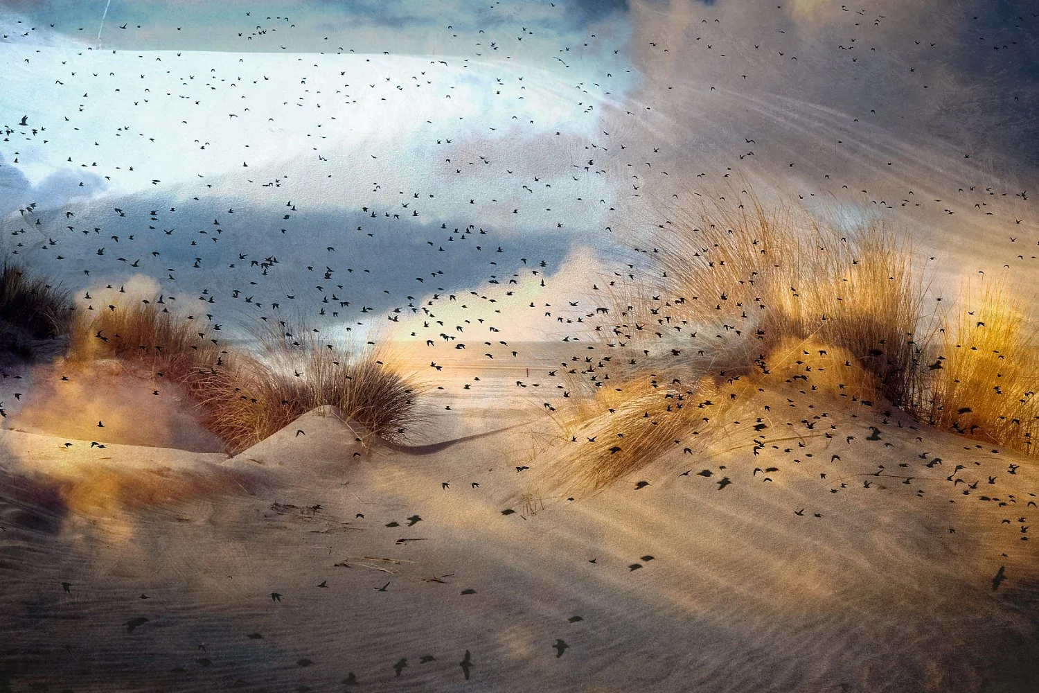 03-The Flight of Light small.jpg