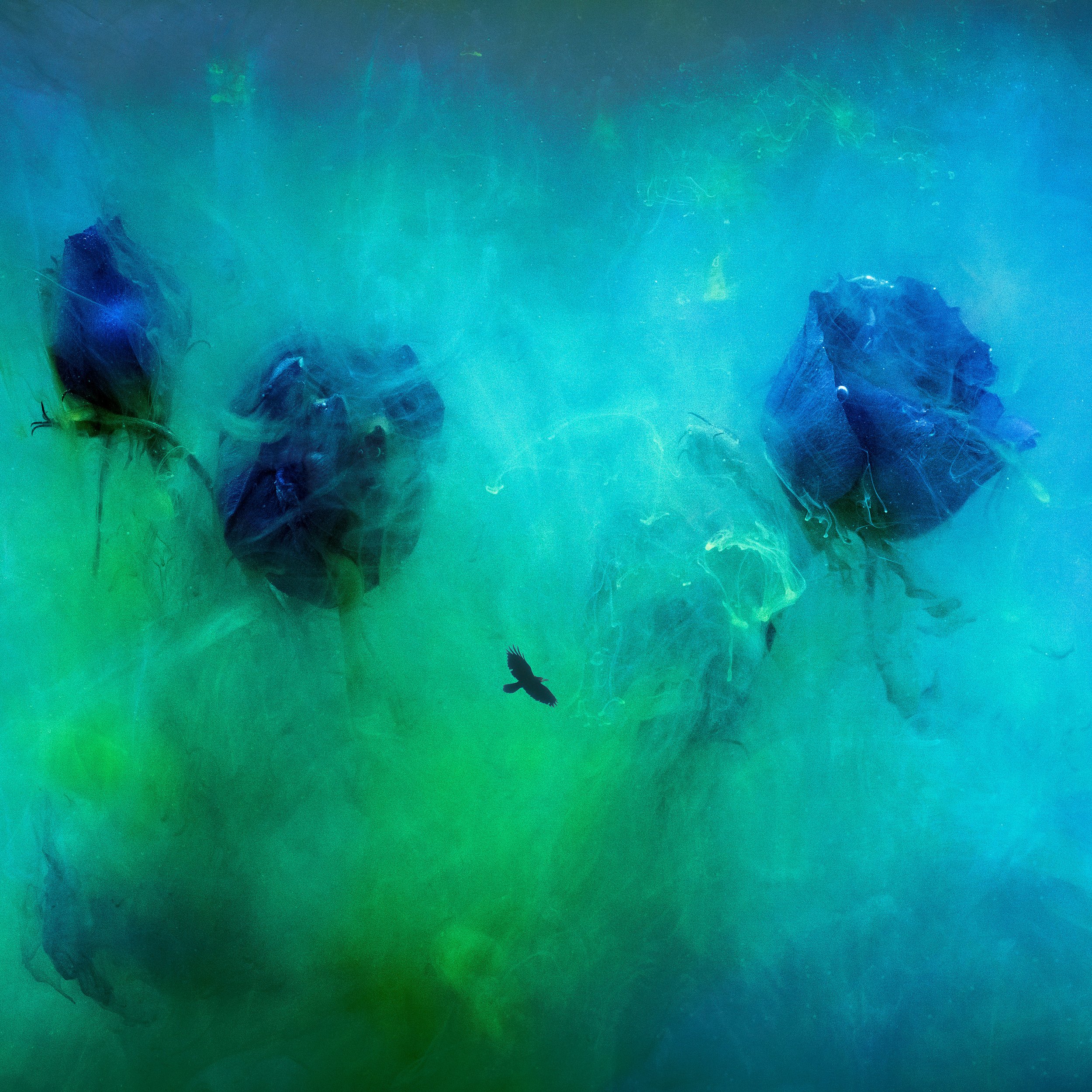 02-Blue Awakening.jpg