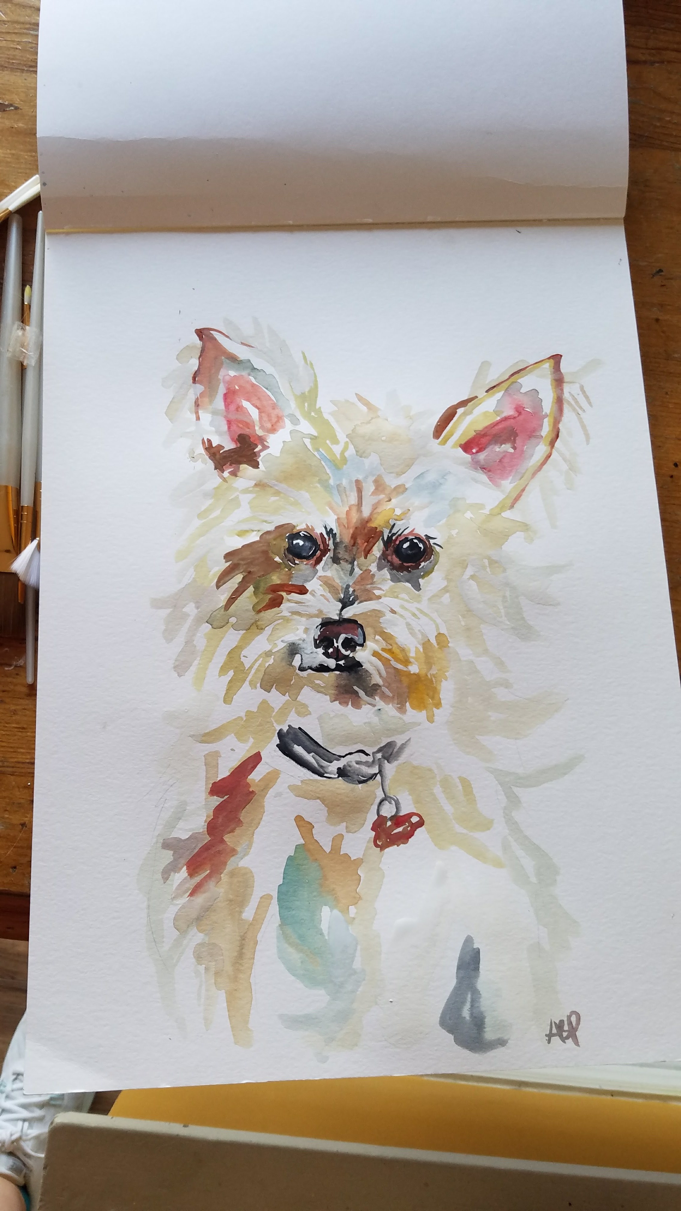 Zoey the Zippy