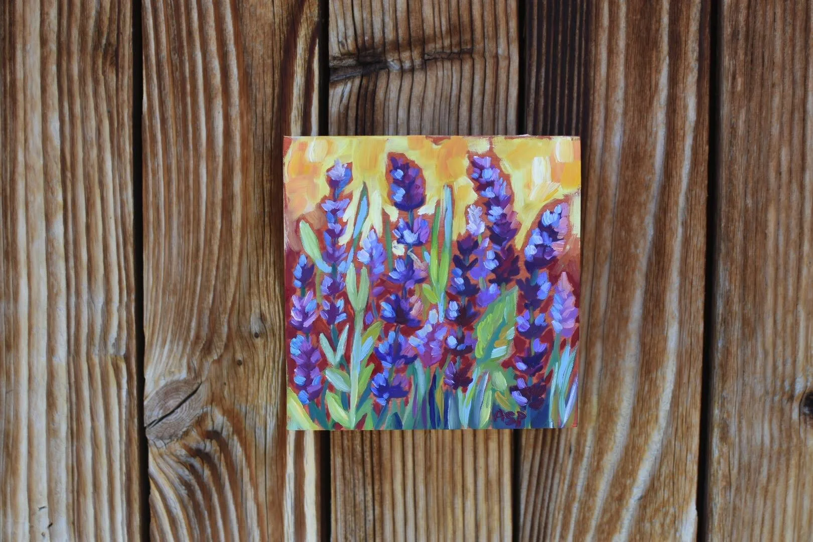 Salvia the Scintillating