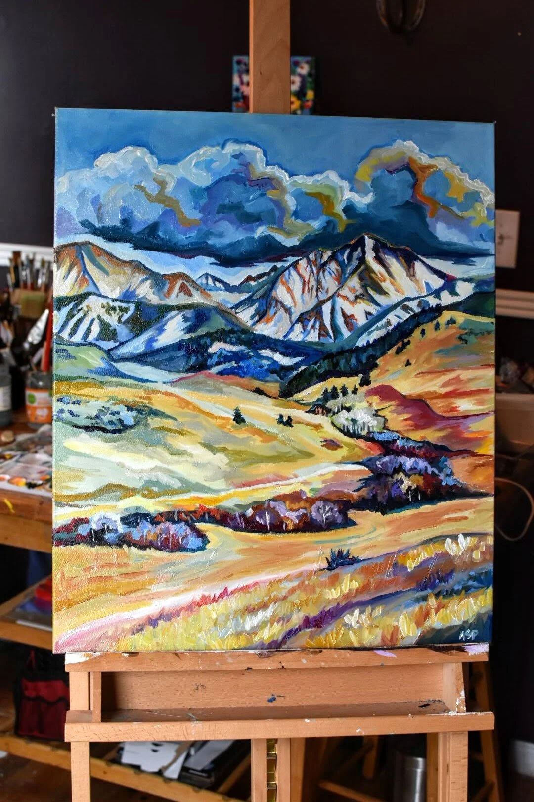 The Capacious Crazy Mountains 