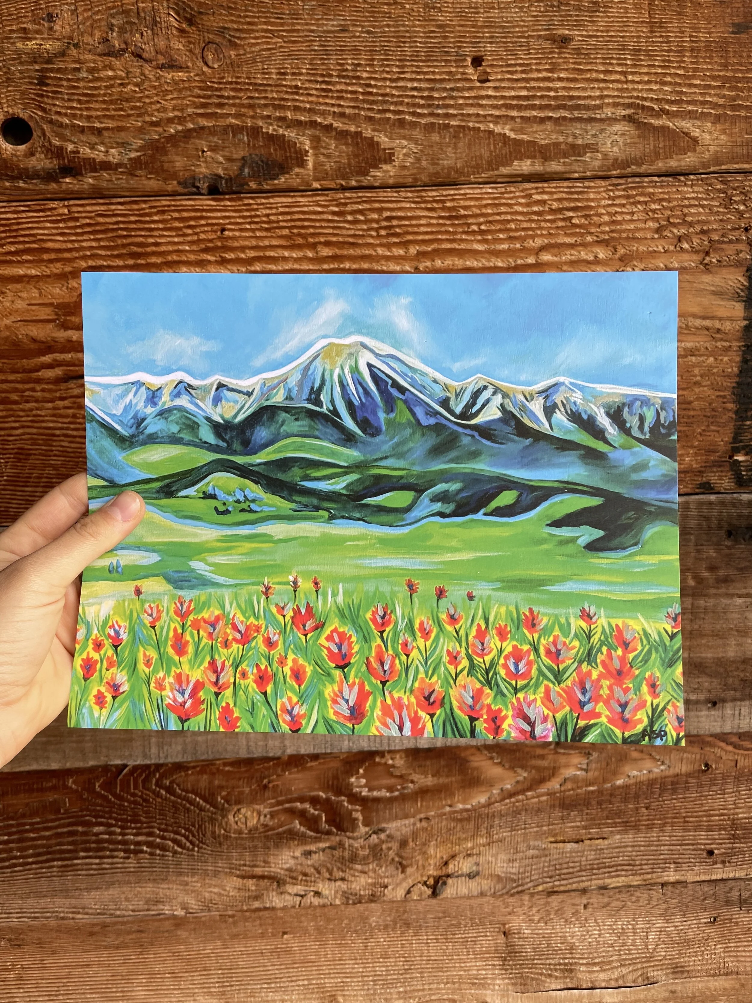 June in the Bridgers (Print)
