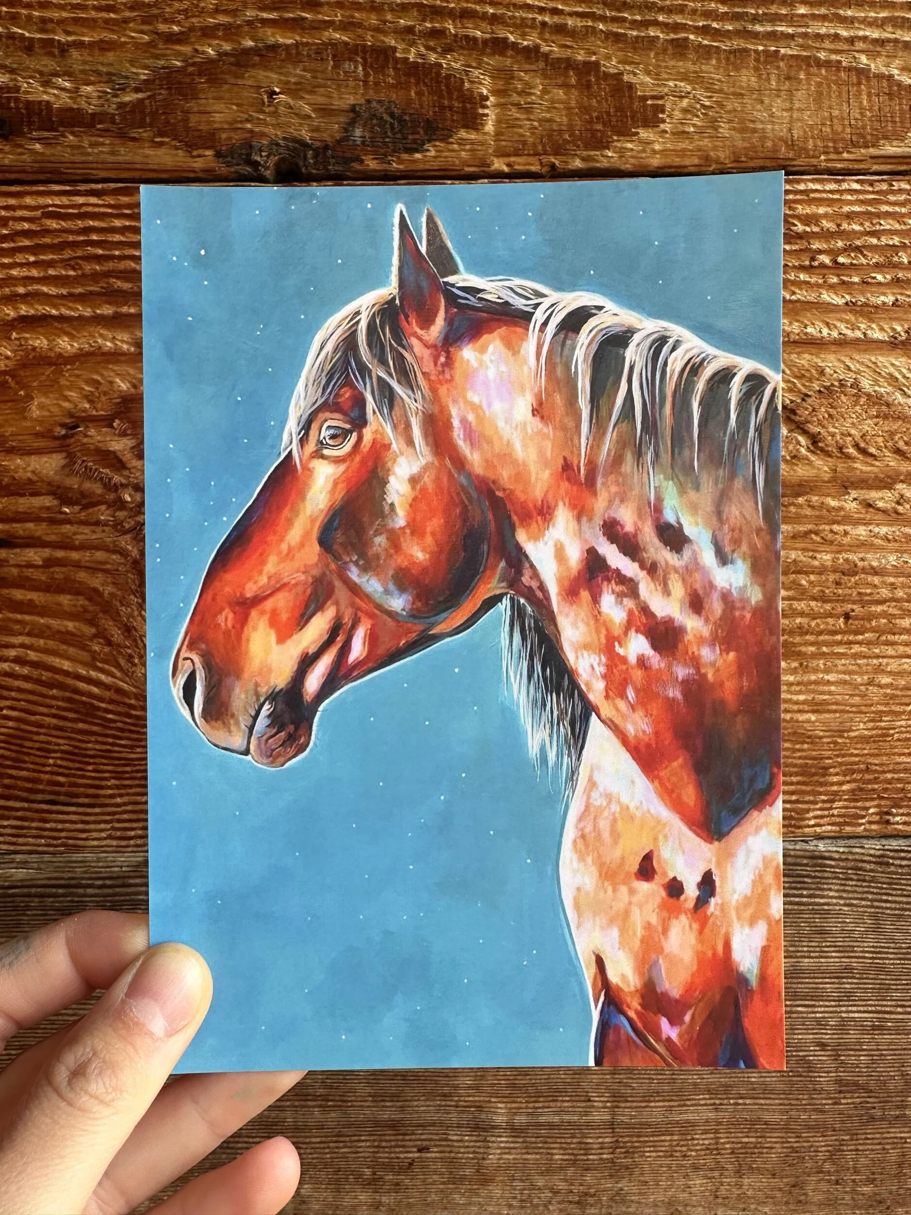 C6BFD20D-71AB-4EE0-B9EE-E9CBAF9EE510