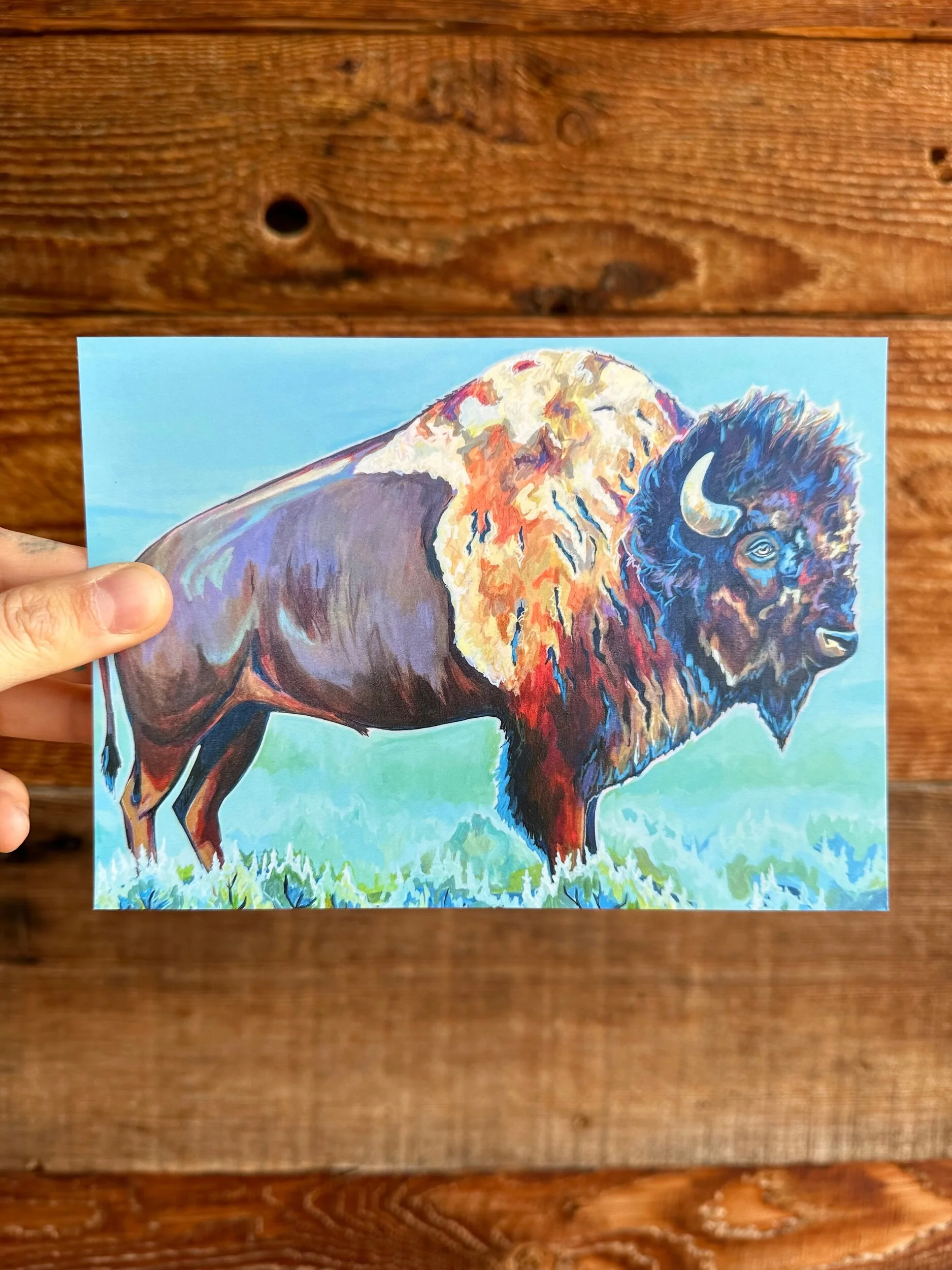 69CE6EFE-02D5-49AC-AE32-D4A3D35AE89E