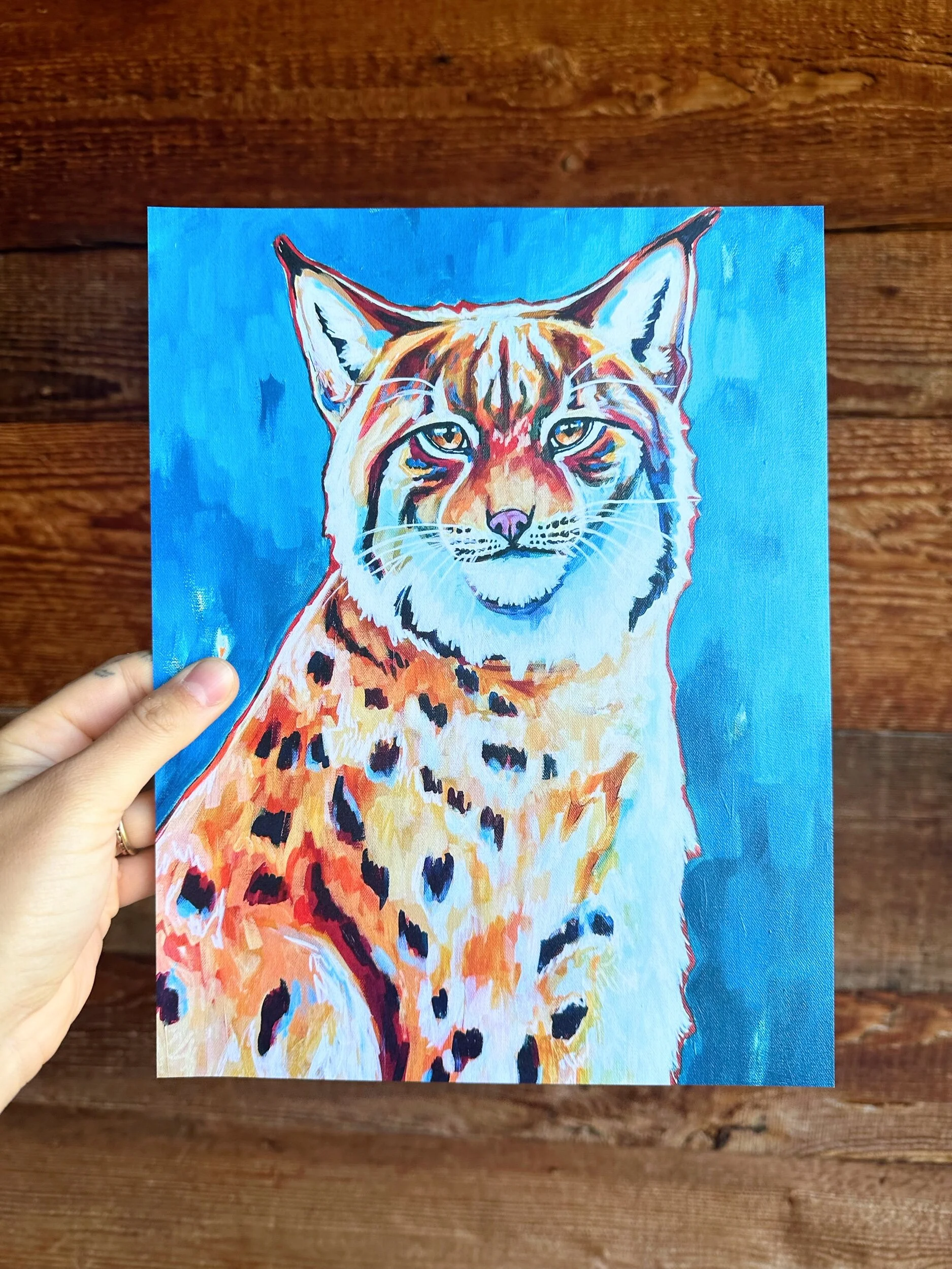 C5ED3F6E-8BB3-4117-997D-AB85AC3AE6C9