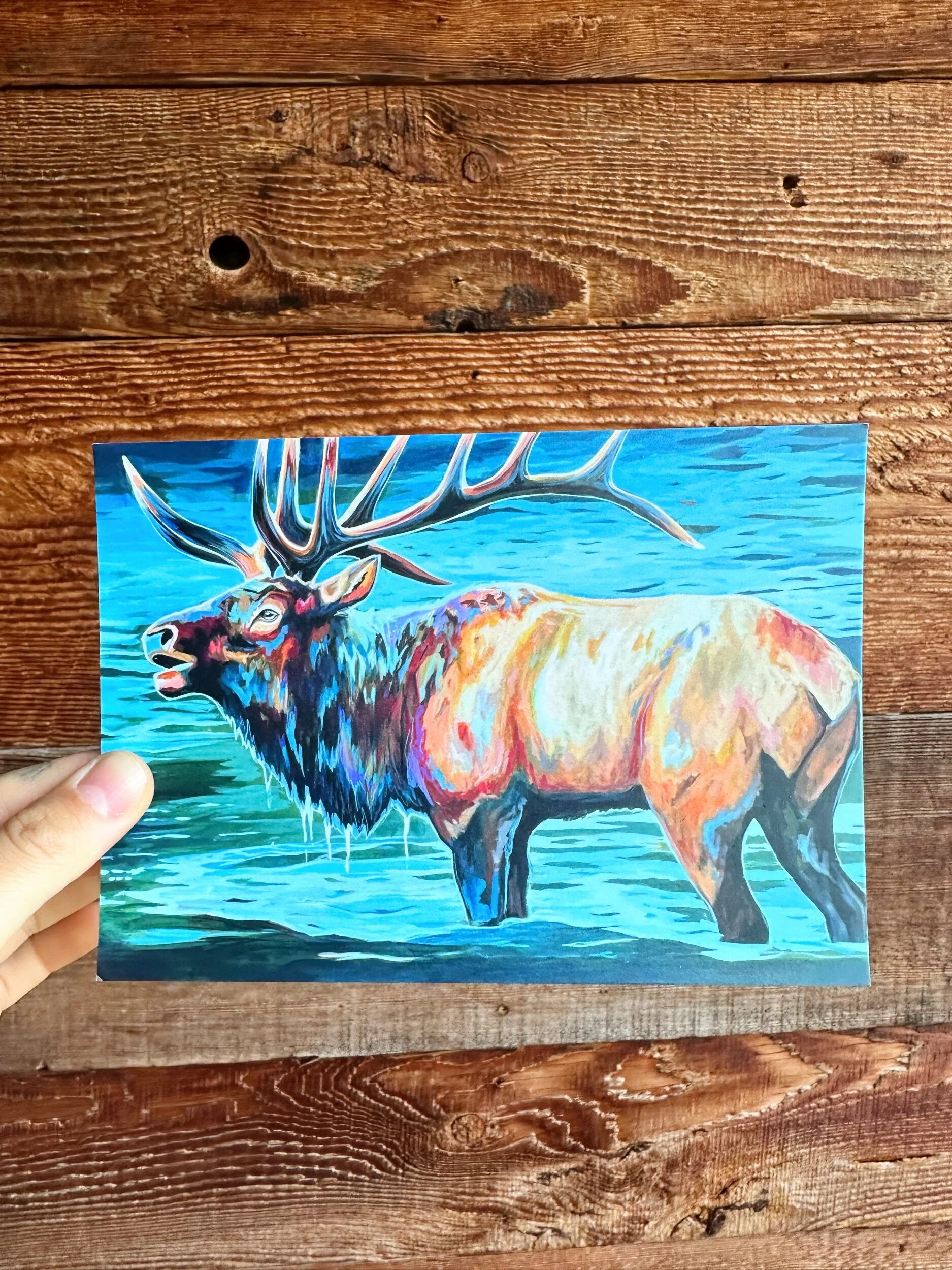 D24A0F0A-3036-4AAC-B8EC-7AC23C5FC659