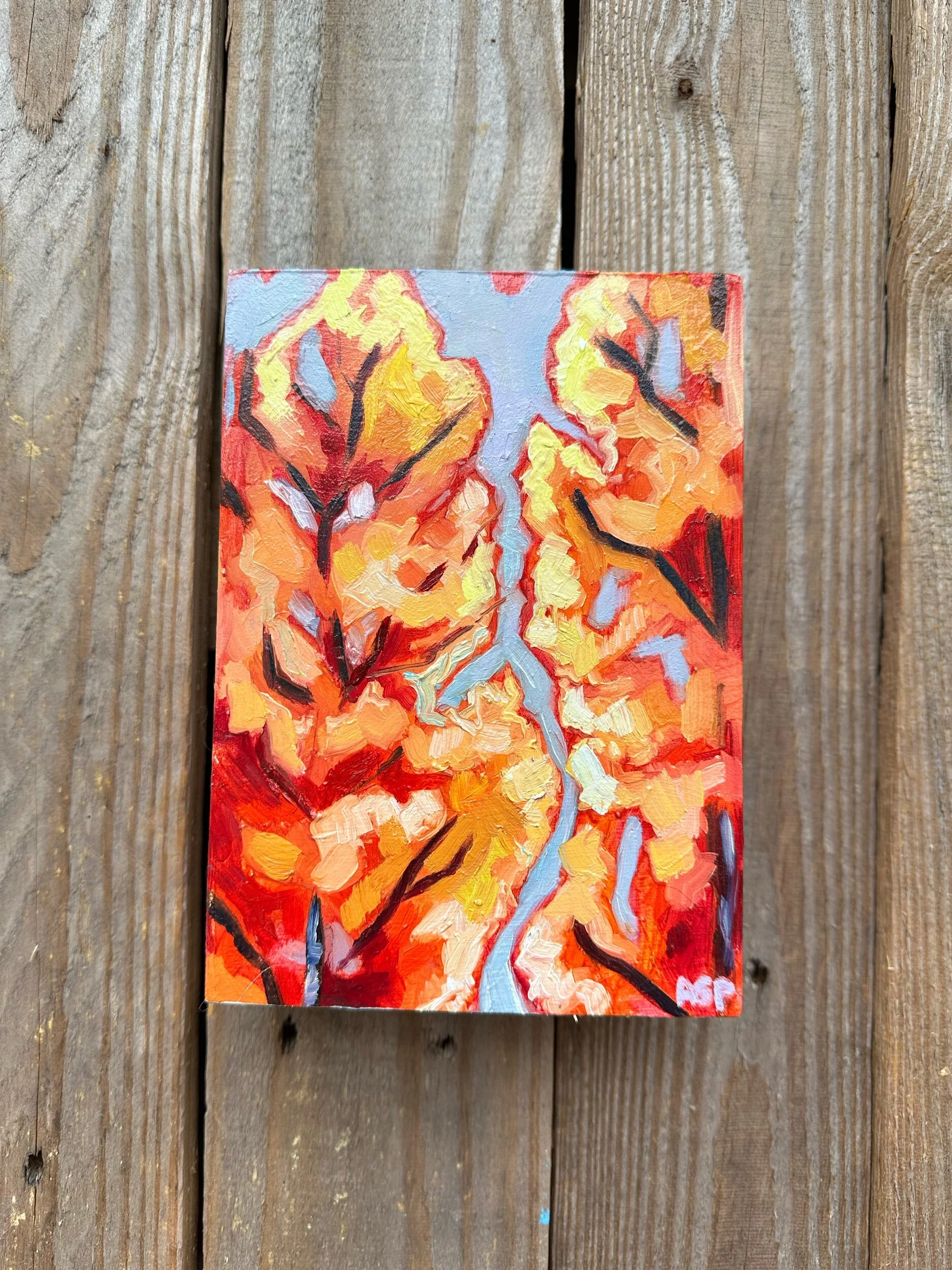 849B9E6E-1C8B-43BE-8FE4-7FBE2F3DB97E