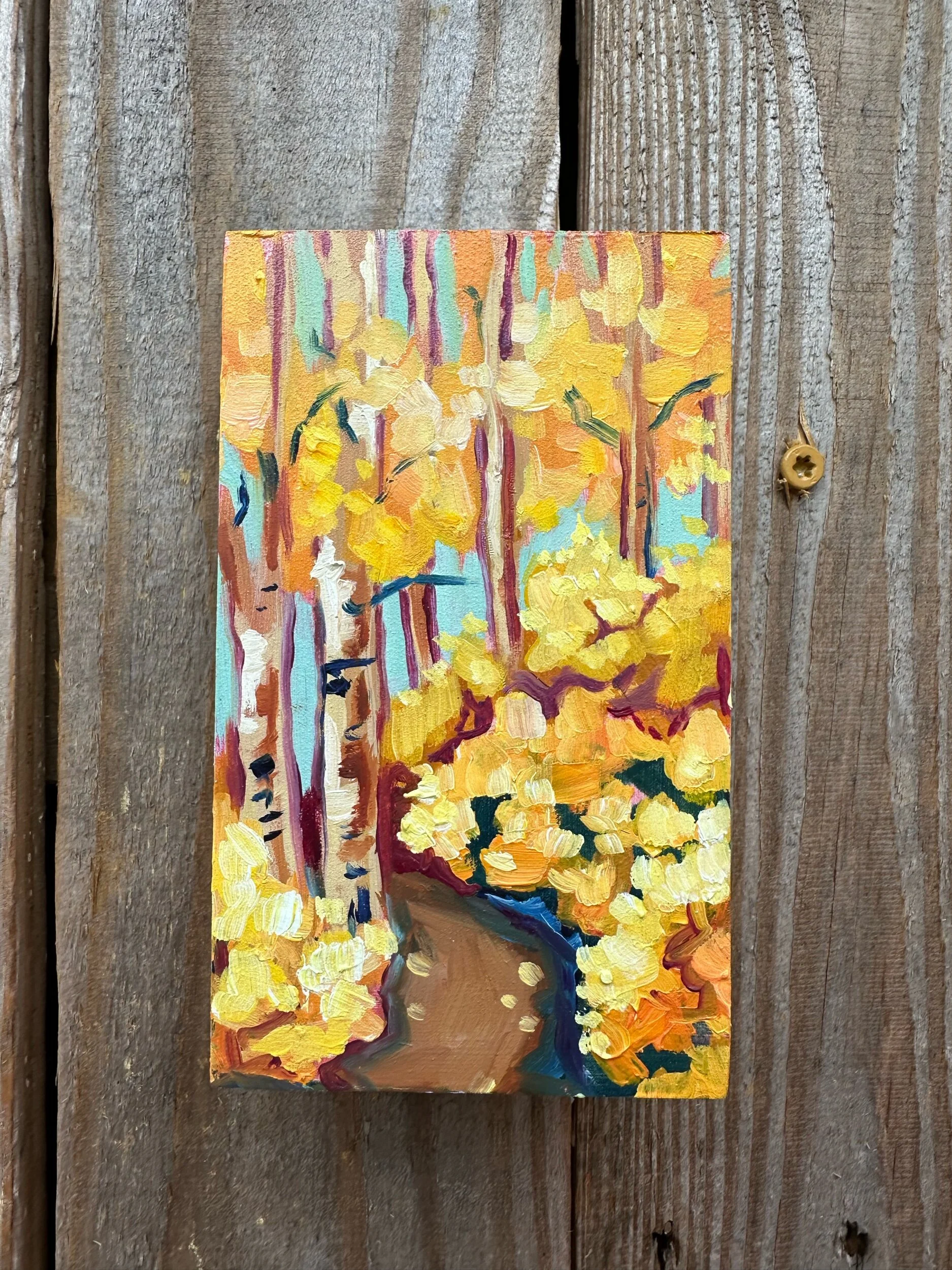 5F8BD9C1-0822-487B-9E79-CFB016EE4D19