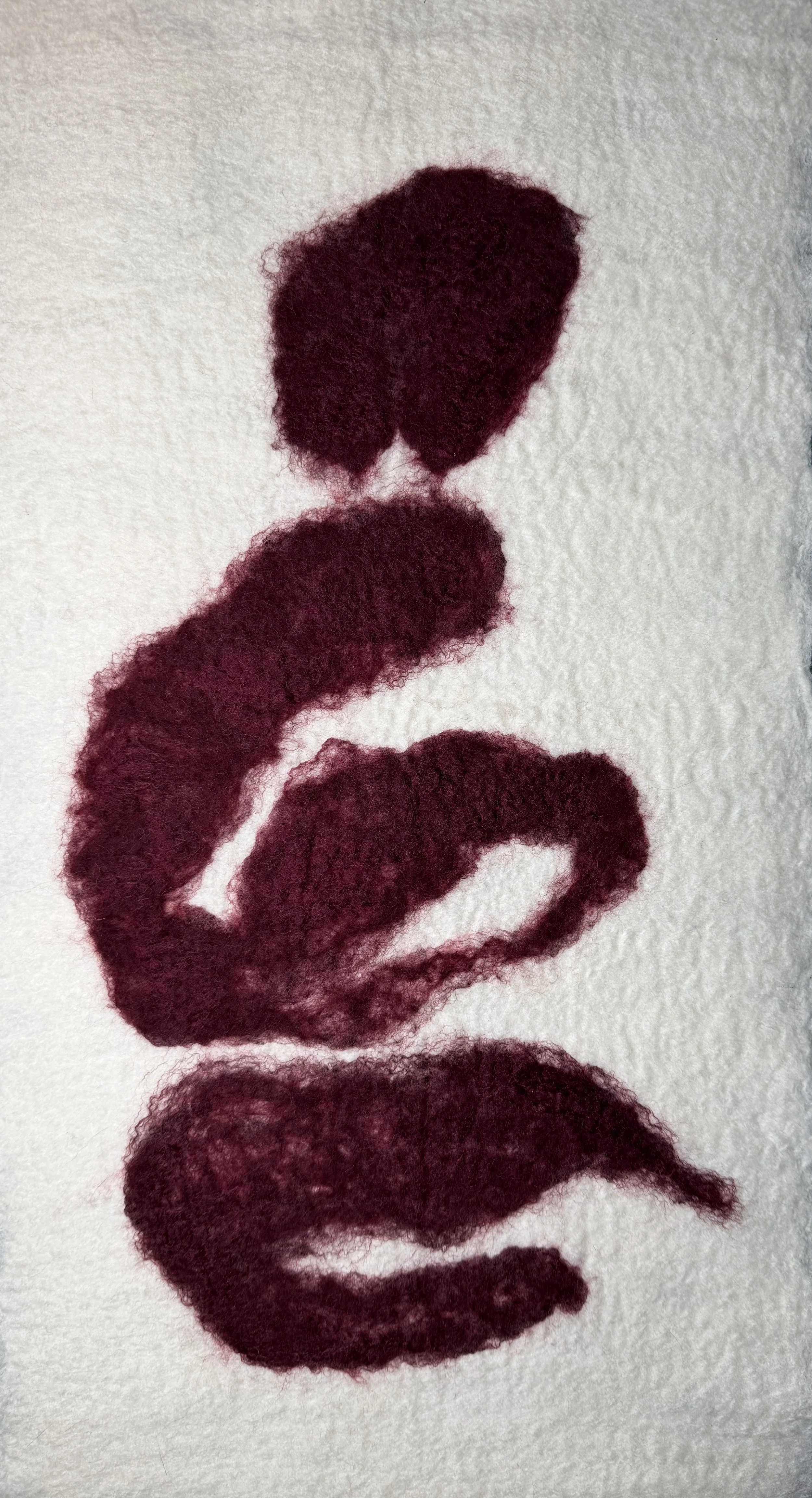 Calligraphic Body, 2026.
28.5" x 14"
Merino Wool, Silk Hankie