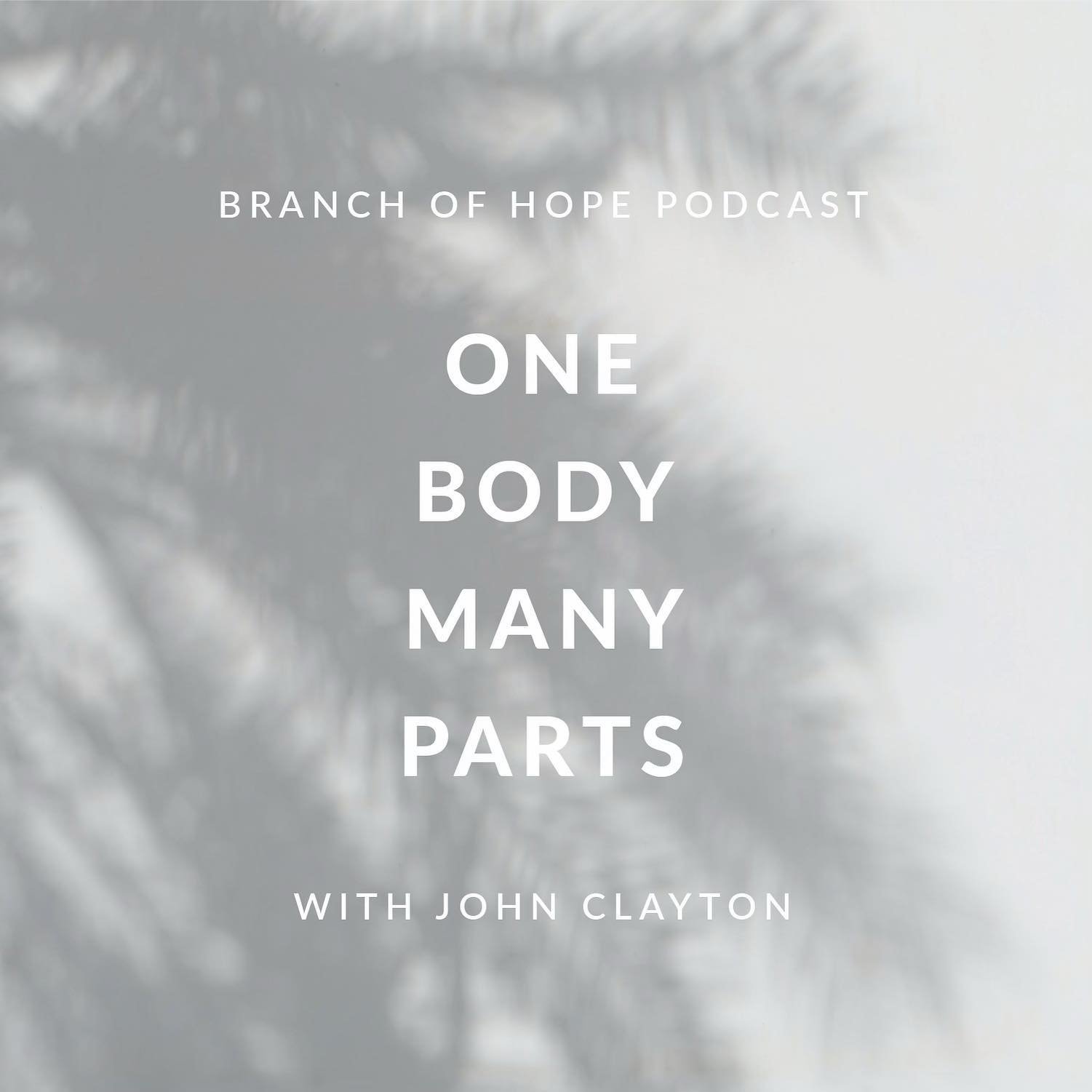 listen to our latest branch of hope podcast episode with john clayton on apple podcasts!!!