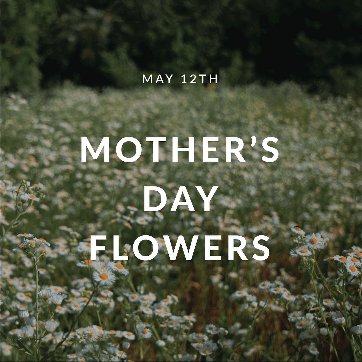💐buy a bouquet for your mom this Sunday in the foyer and pick it up for her on Mother&rsquo;s Day! all proceeds will go towards our Catalyst youth group ❤️