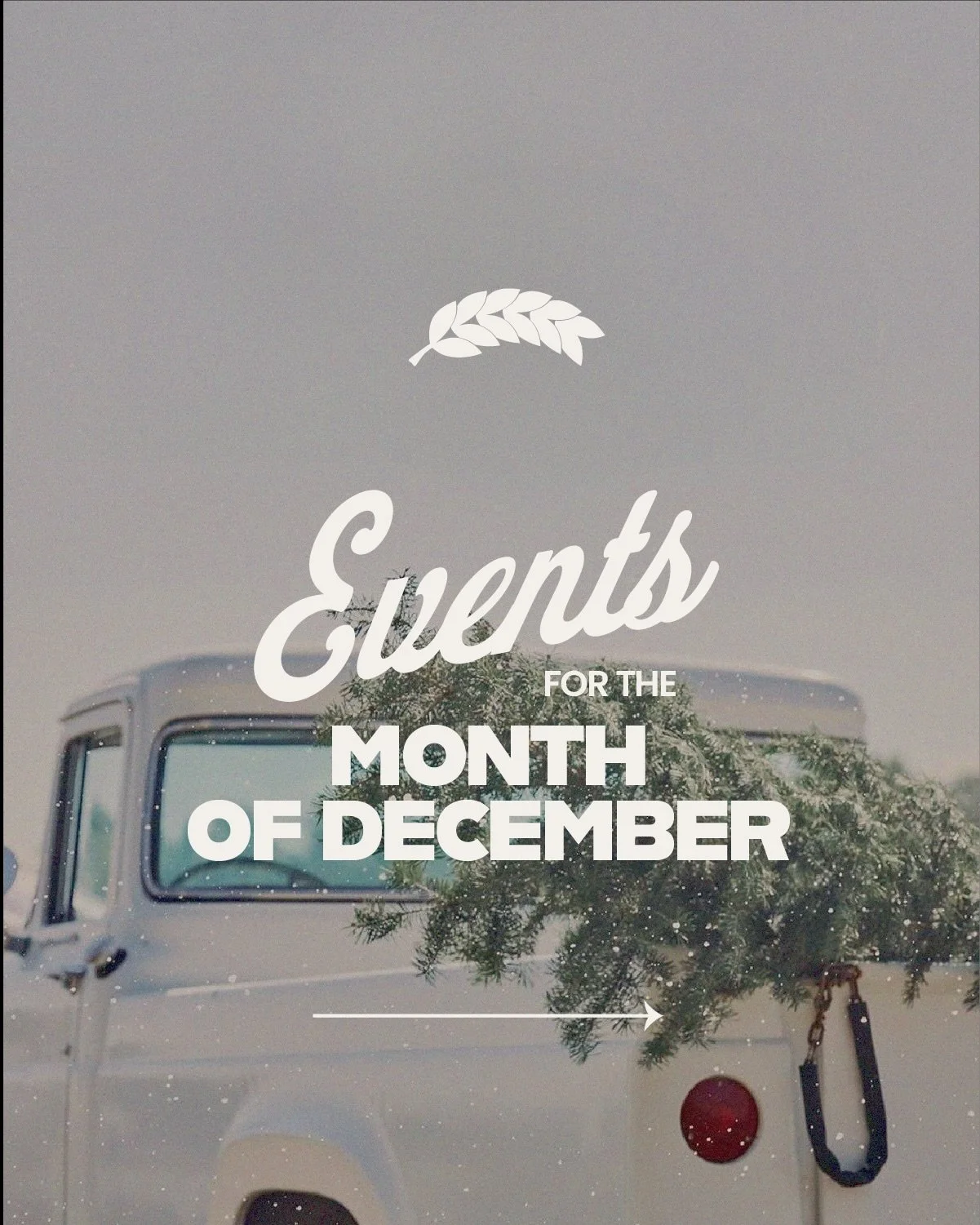 ✨ December at Branch!
So many sweet ways to gather, serve, and celebrate this month &mdash; we&rsquo;d love to see you there.

12/7
&bull; Fellowship Meal &mdash; 1pm
&bull; Young Adults Bible Night &mdash; 6pm

12/9
&bull; Villa Sorrento Caroling &m