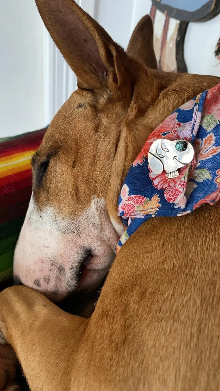 Year of the dog Pin — Red Rabbit Trading Co.