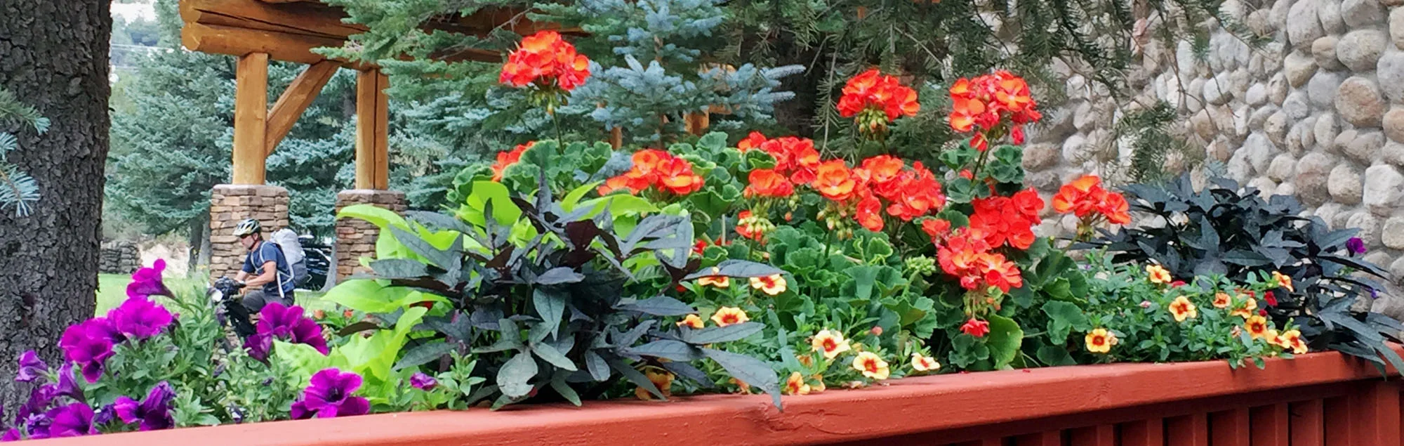 mtpflowers.jpg