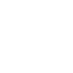 Lula Bird