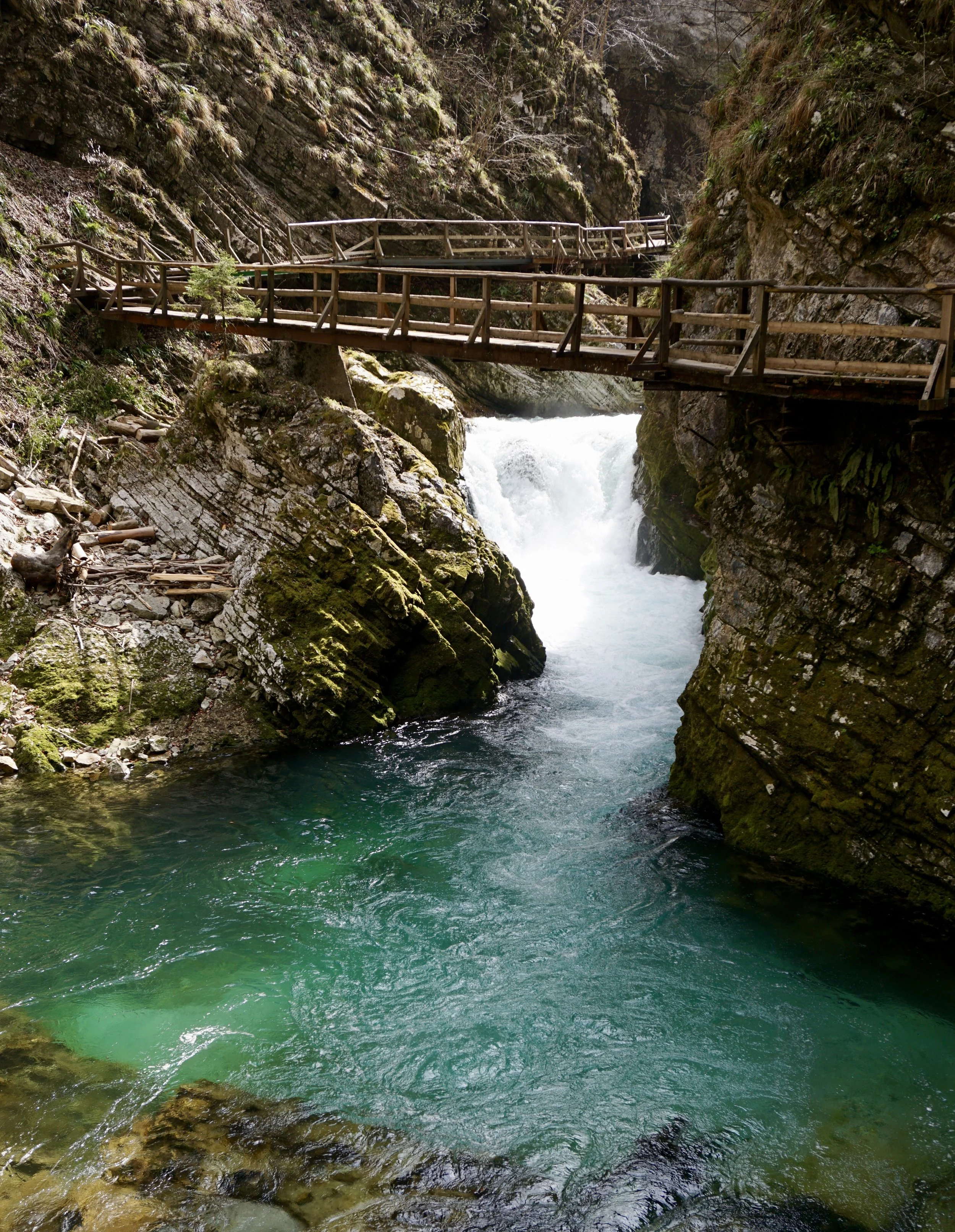 Vintgar Gorge, Slovenia