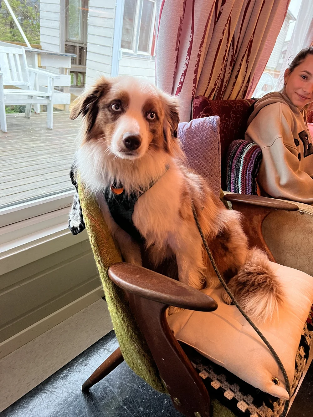 The king on his throne