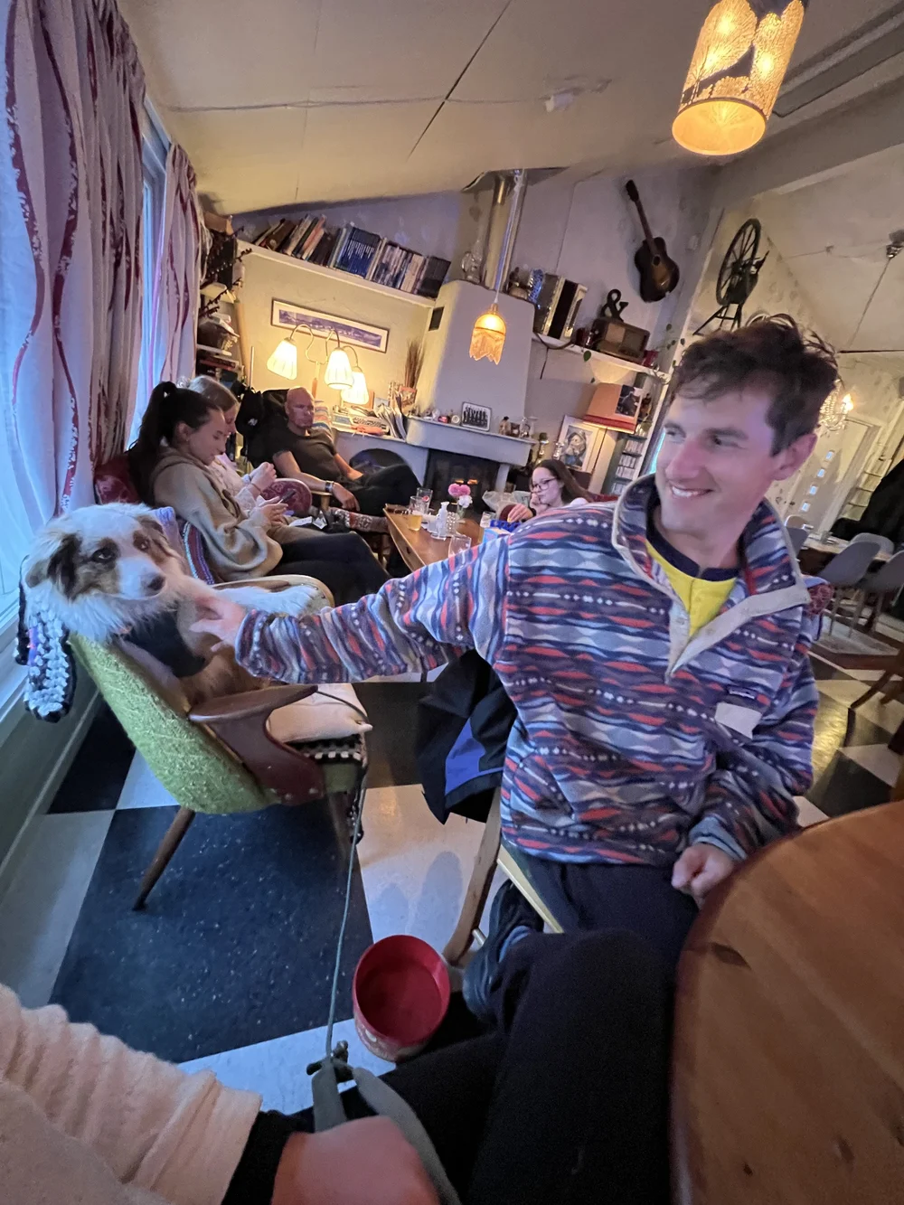 Always demanding the pets