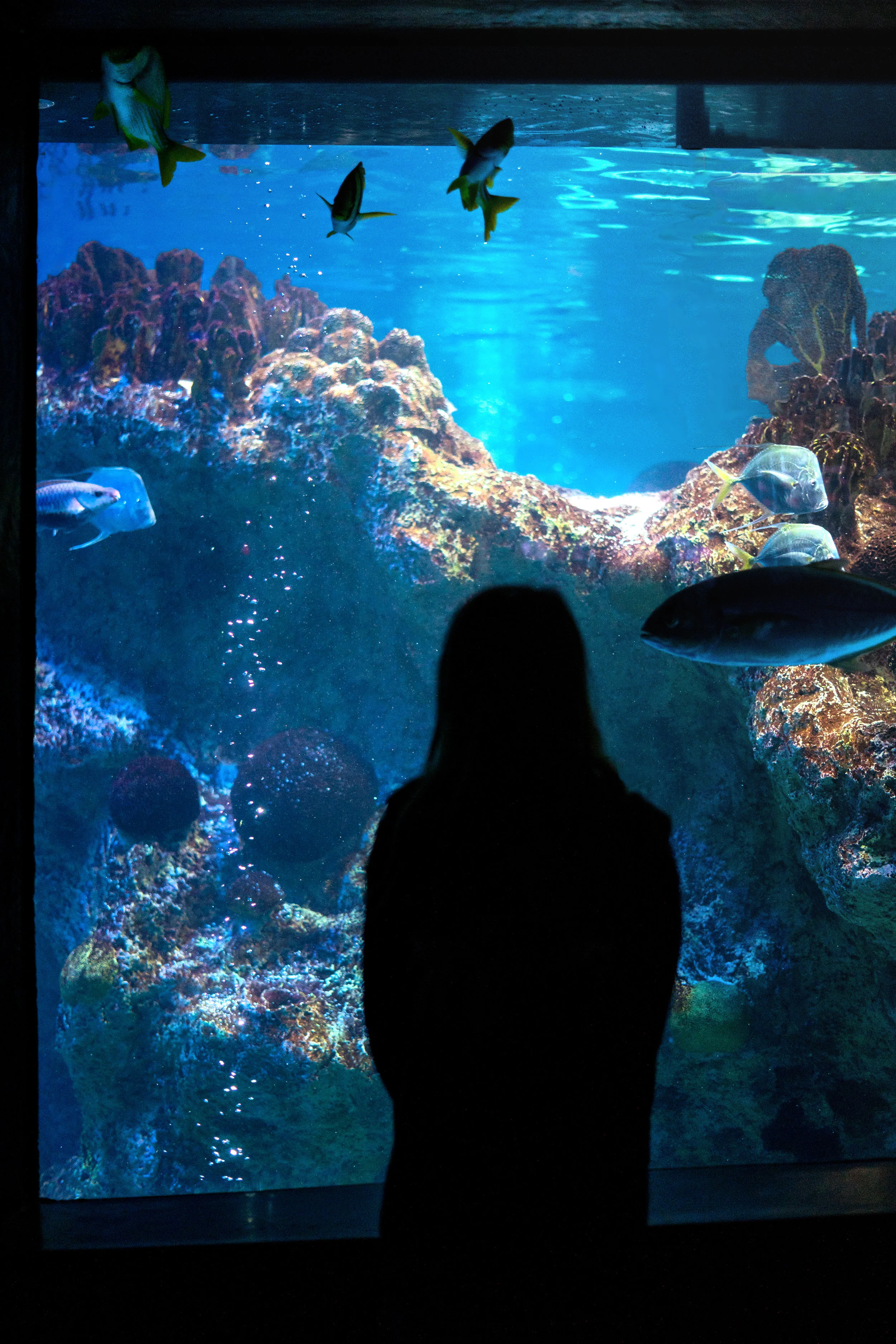 Lost in another world