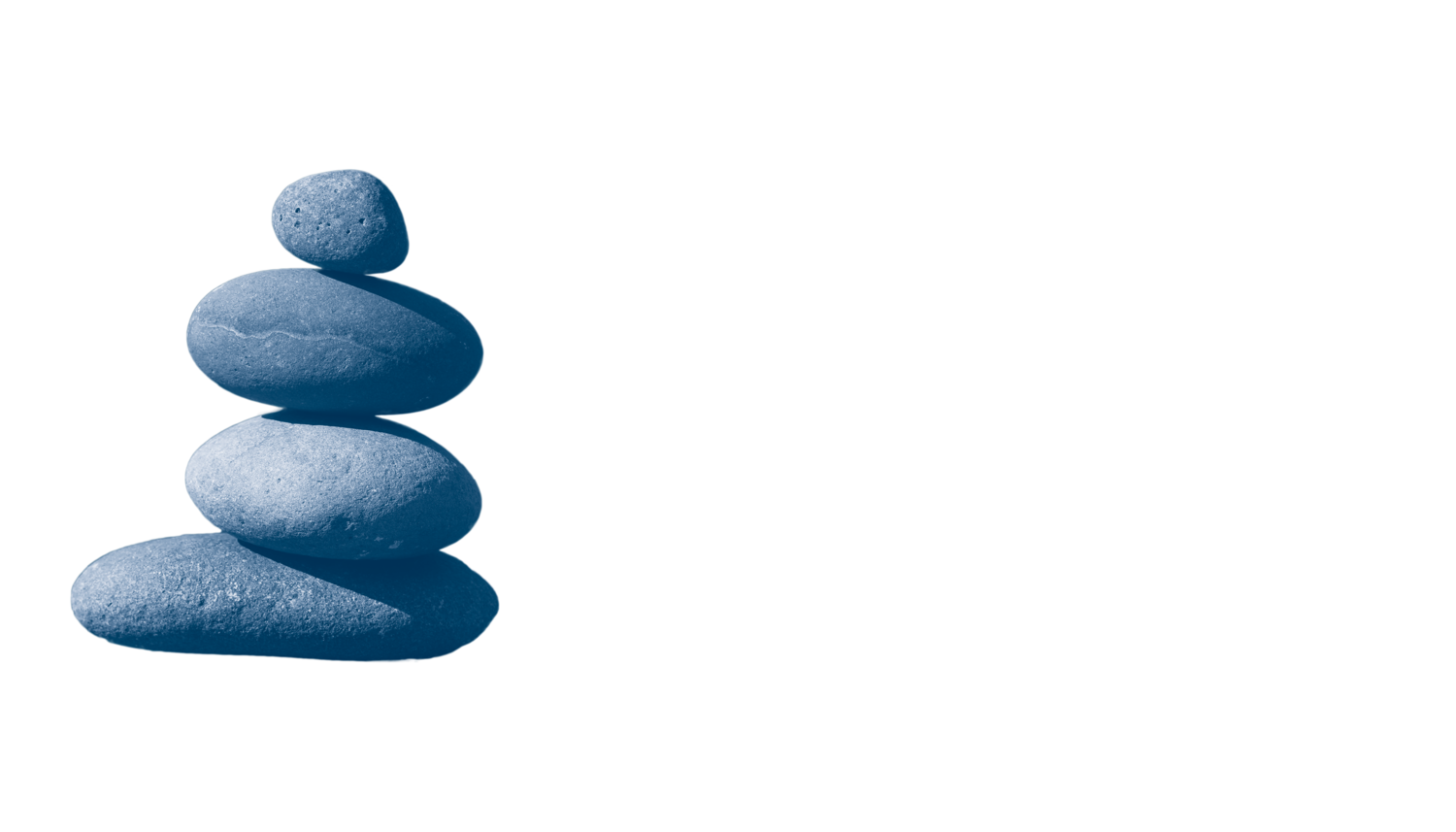 Levy Psychological Associates
