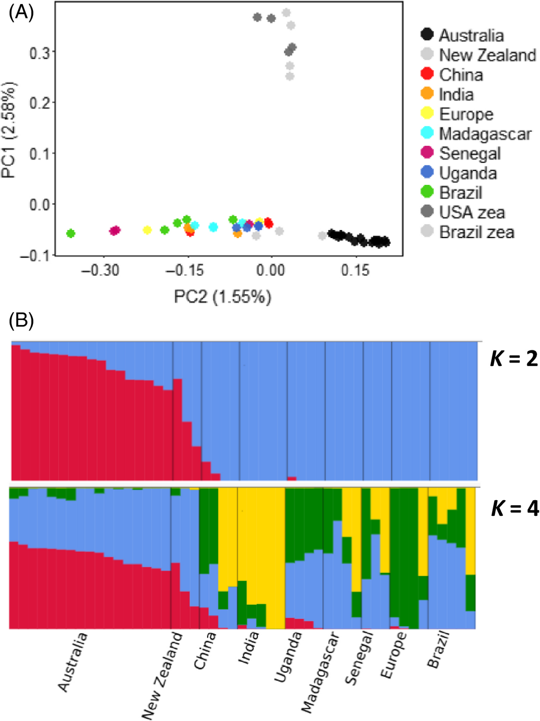 Population structure in Helicoverpa armigera using whole-genome sequence data aligned to BACs. Figure 3 in article .