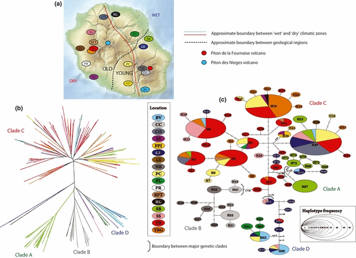 Geographic distribution of genetic diversity of Pristionchus pacificus on La Réunion Island. Figure 1 in article .