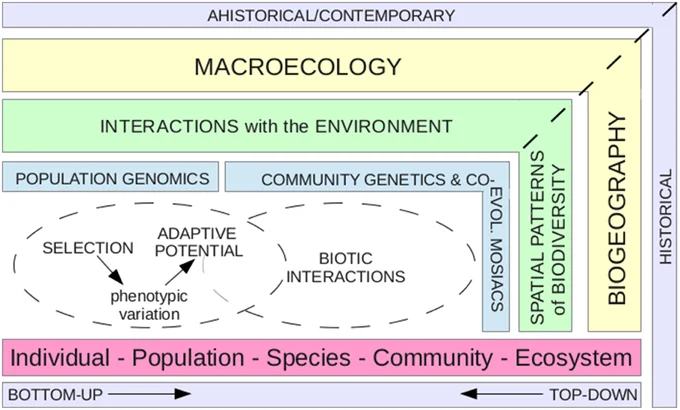 Population genomic data are relevant to system-level insights. Figure 1 in article .