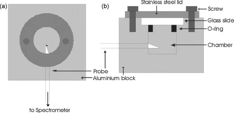 We custom-made a respiration chamber to measure metabolic rate in very small Antarctic springtails (thanks hubby!). Figure 2 in article .