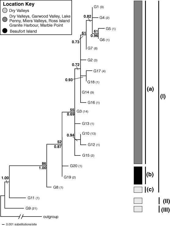 Geographic correspondence of genetic structure for Gomphiocephalus hodgsoni in continental Antarctica. Figure 2 in article .