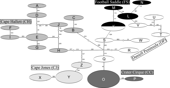 Genetic relationships in Desoria klovstadi show geographic structure. Figure 2 in article .