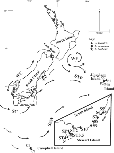 New Zealand isopod populations are genetically distinct and likely to have resulted from Pliocene oceanic dispersal events. Figure 1 in article .