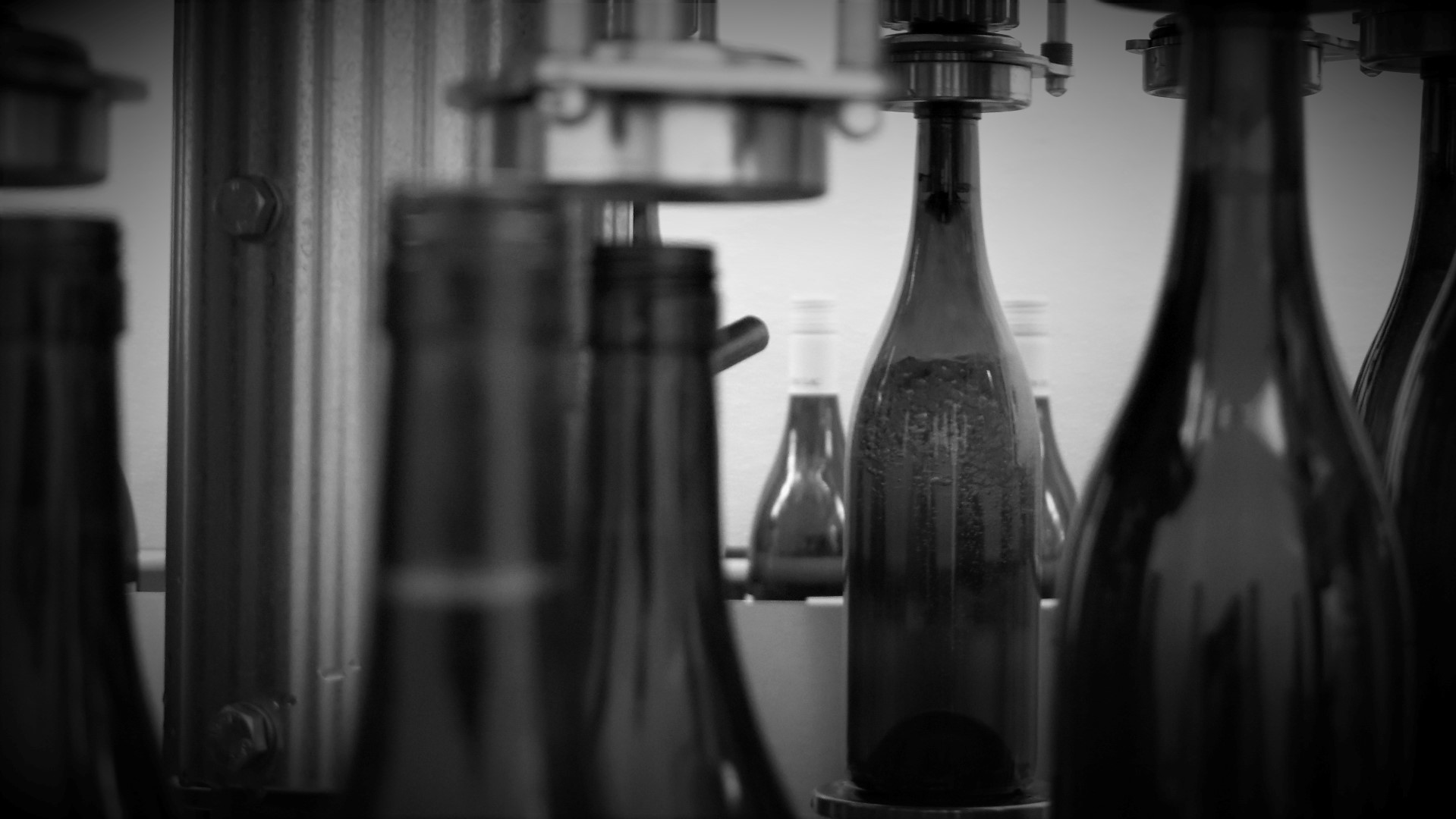 bottling (Custom).jpg