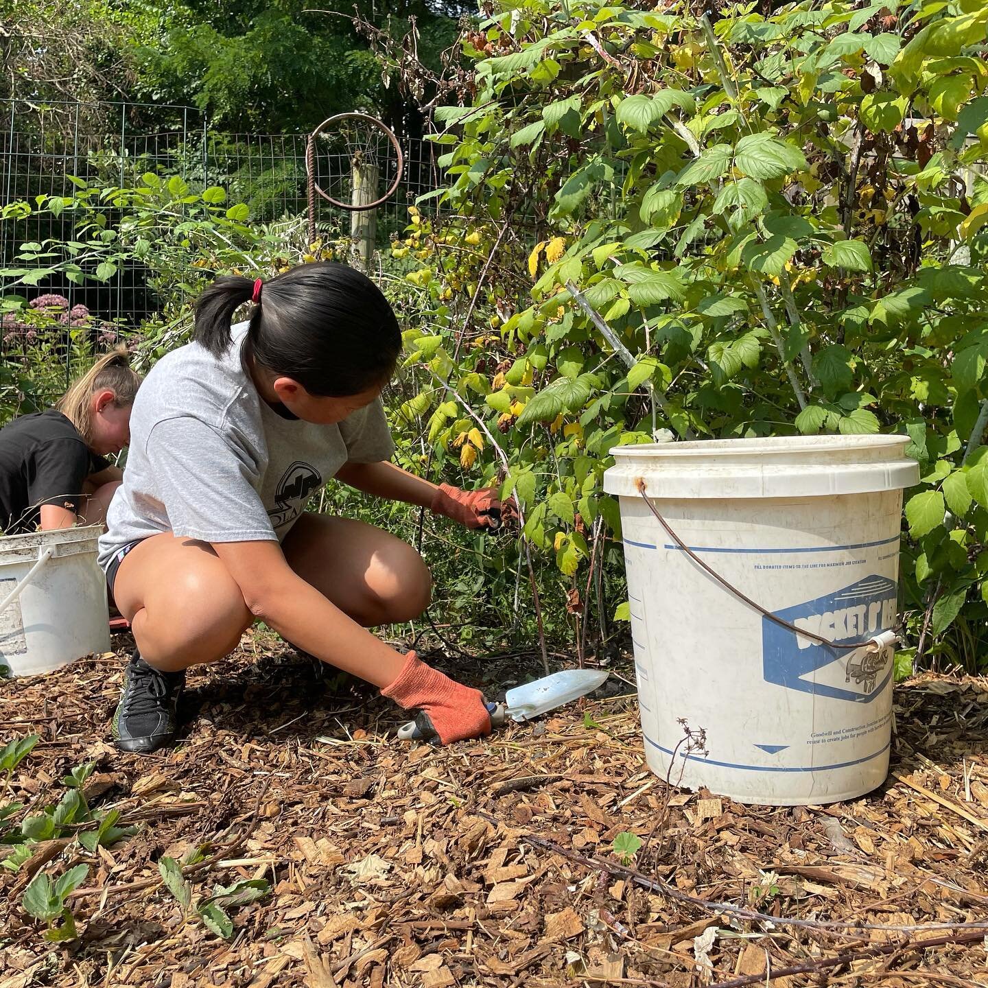 On Sunday, 10 Project Water volunteers visited the North Hills Community Outreach Garden in Bellvue to help expand and keep up the existing garden to accommodate more fruits and vegetables.  All crops grown here will be donated to the NHCO food bank.