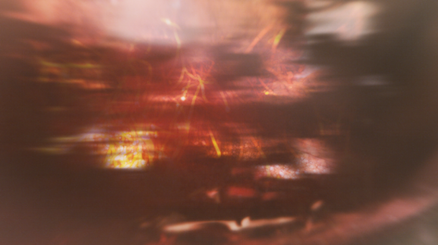 Sweetbitter_MT_frame2.png
