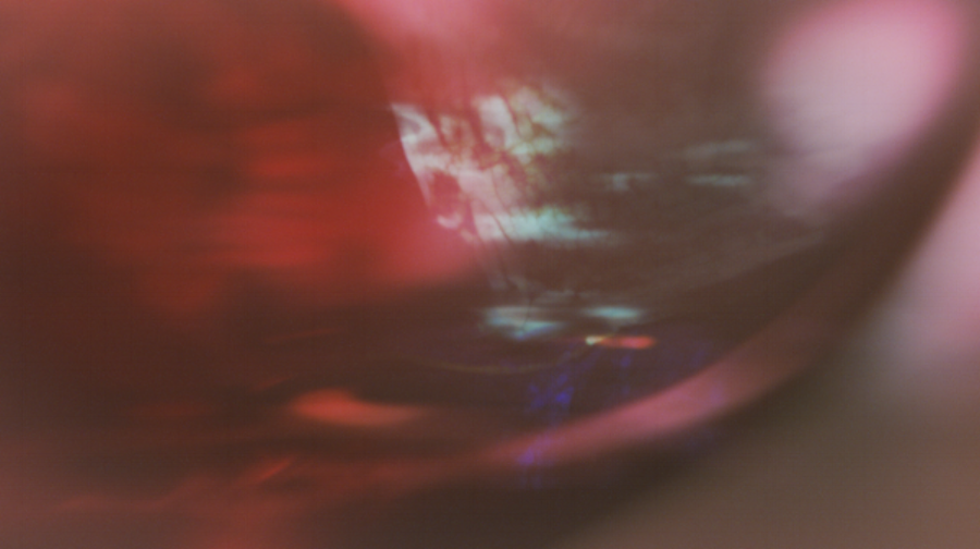 Sweetbitter_MT-frame1.png